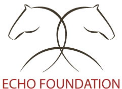 ECHO Foundation